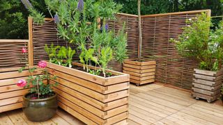 Pflanzkästen aus Holz, Terrassenbepflanzung, Gartenfrosch