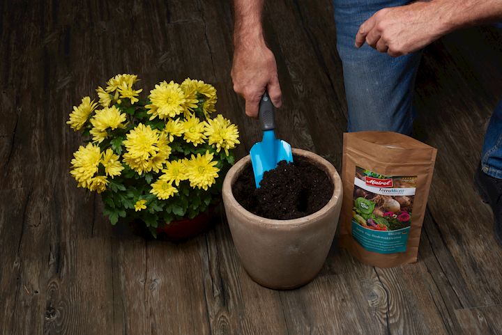 Blumenpflege, Mairol, Bodenaktivator, Bodenverbesserer